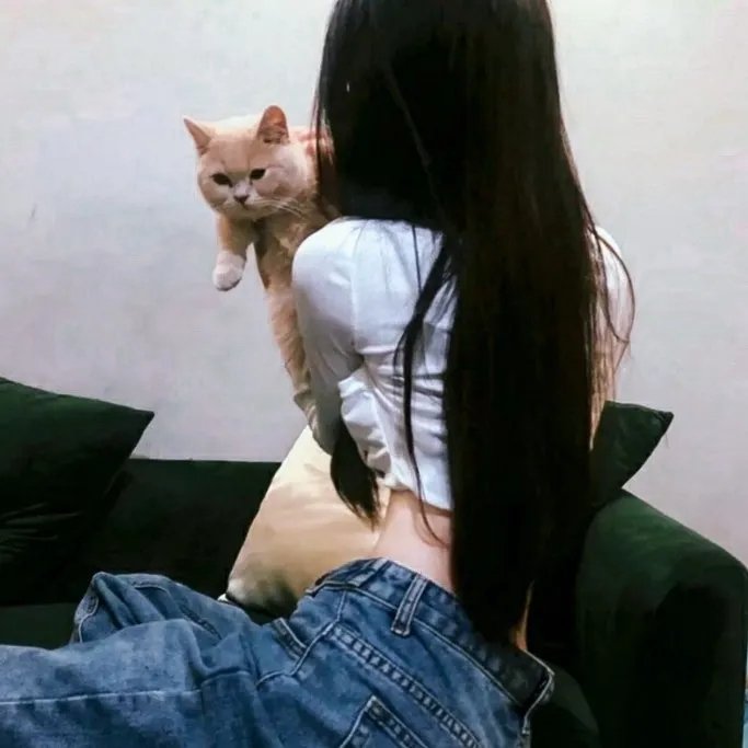 手机有鬼在线观看封面