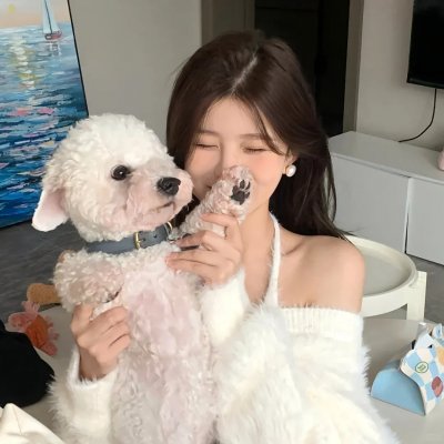 我的爱我的伞在线观看封面