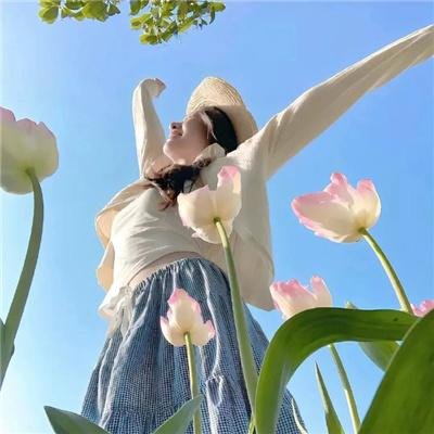 荡女之家在线观看封面